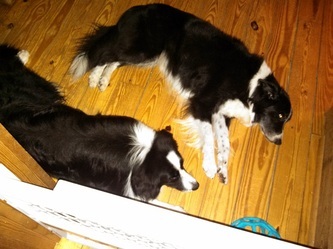 The boys in the nursery waiting room.