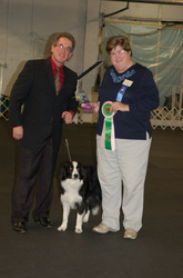 Stewart takes Best In Match - Puppy. His first show.