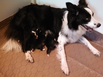 Lorna is a good mom!