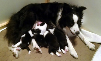 This is a lot of work!