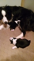 4/27/2015 - Boy 1, Boy two is feeding.