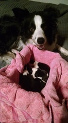 Just in time for Christmas!